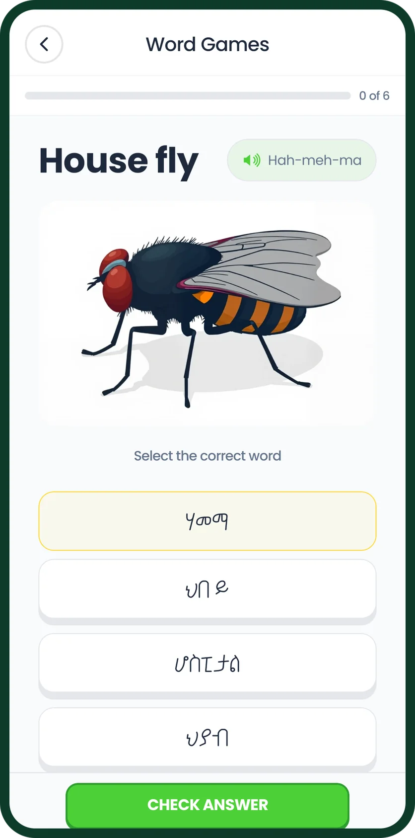 A picture of a house fly and four Tigrinya words to choose from
